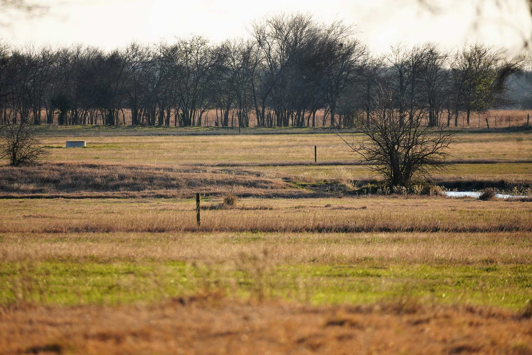 Serenity Valley Ranch property picture 71 of 84