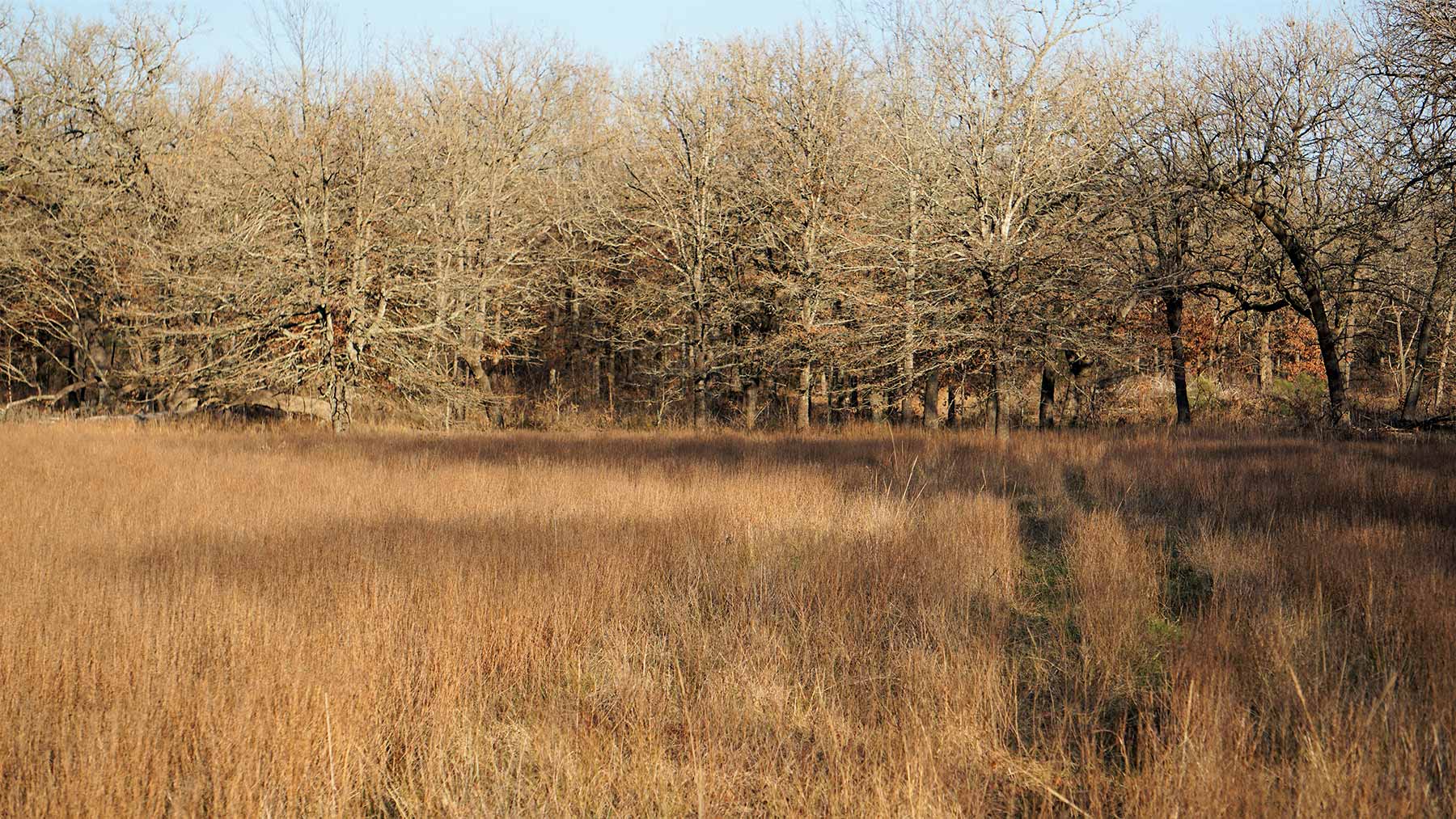 Serenity Valley Ranch property picture 51 of 84