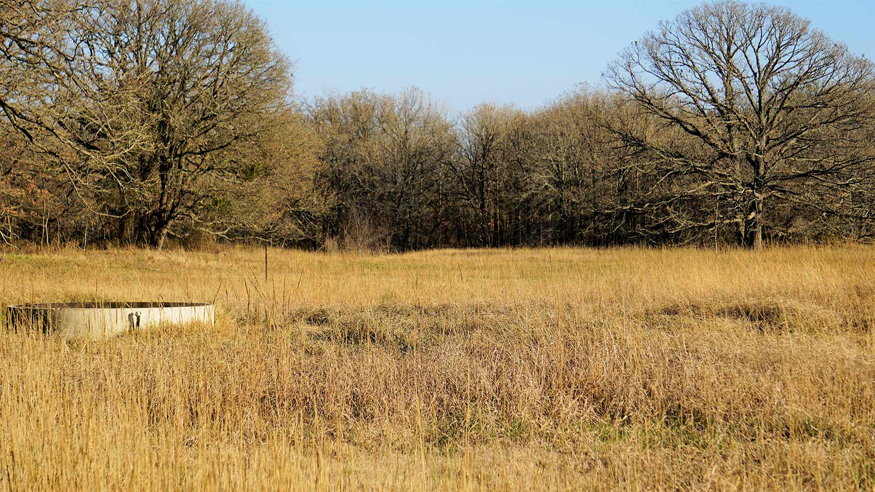 Serenity Valley Ranch property picture 40 of 84