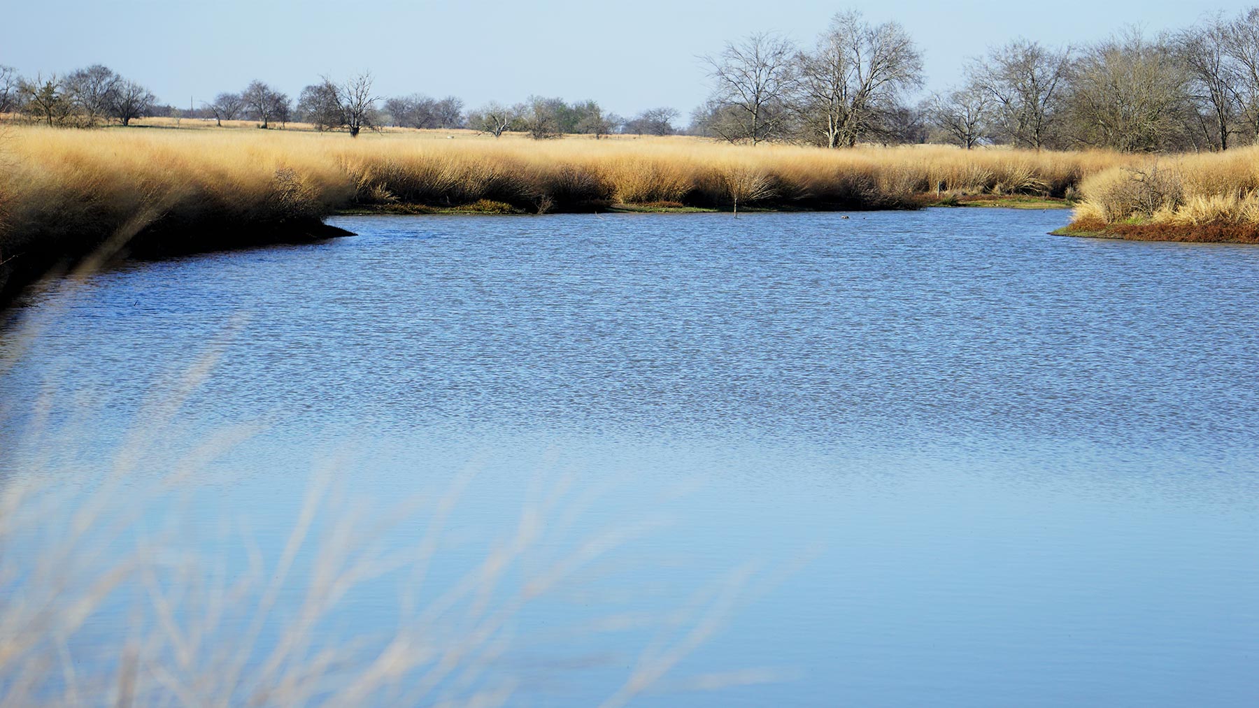Serenity Valley Ranch property picture 9 of 84