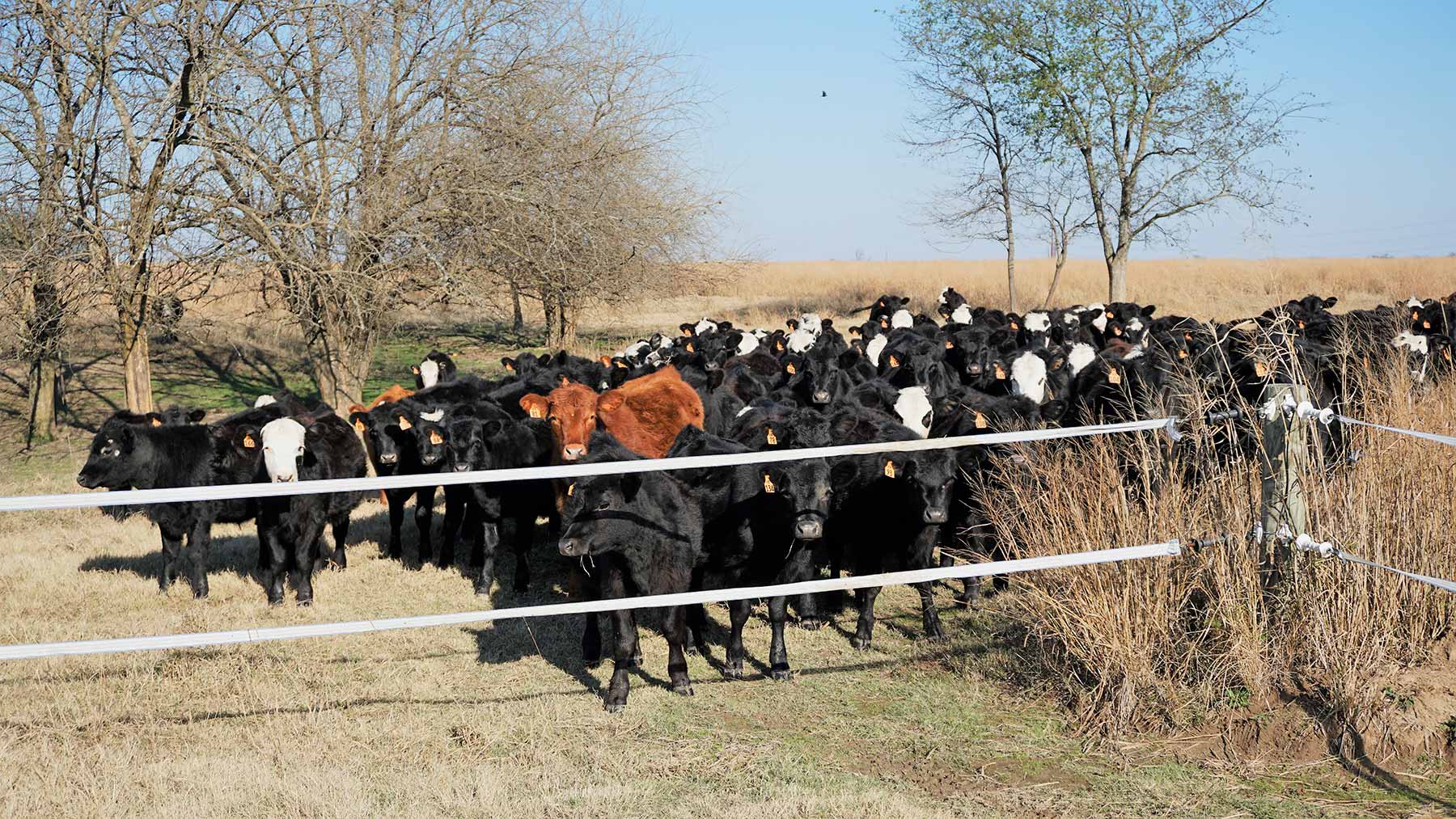 Serenity Valley Ranch property picture 22 of 84