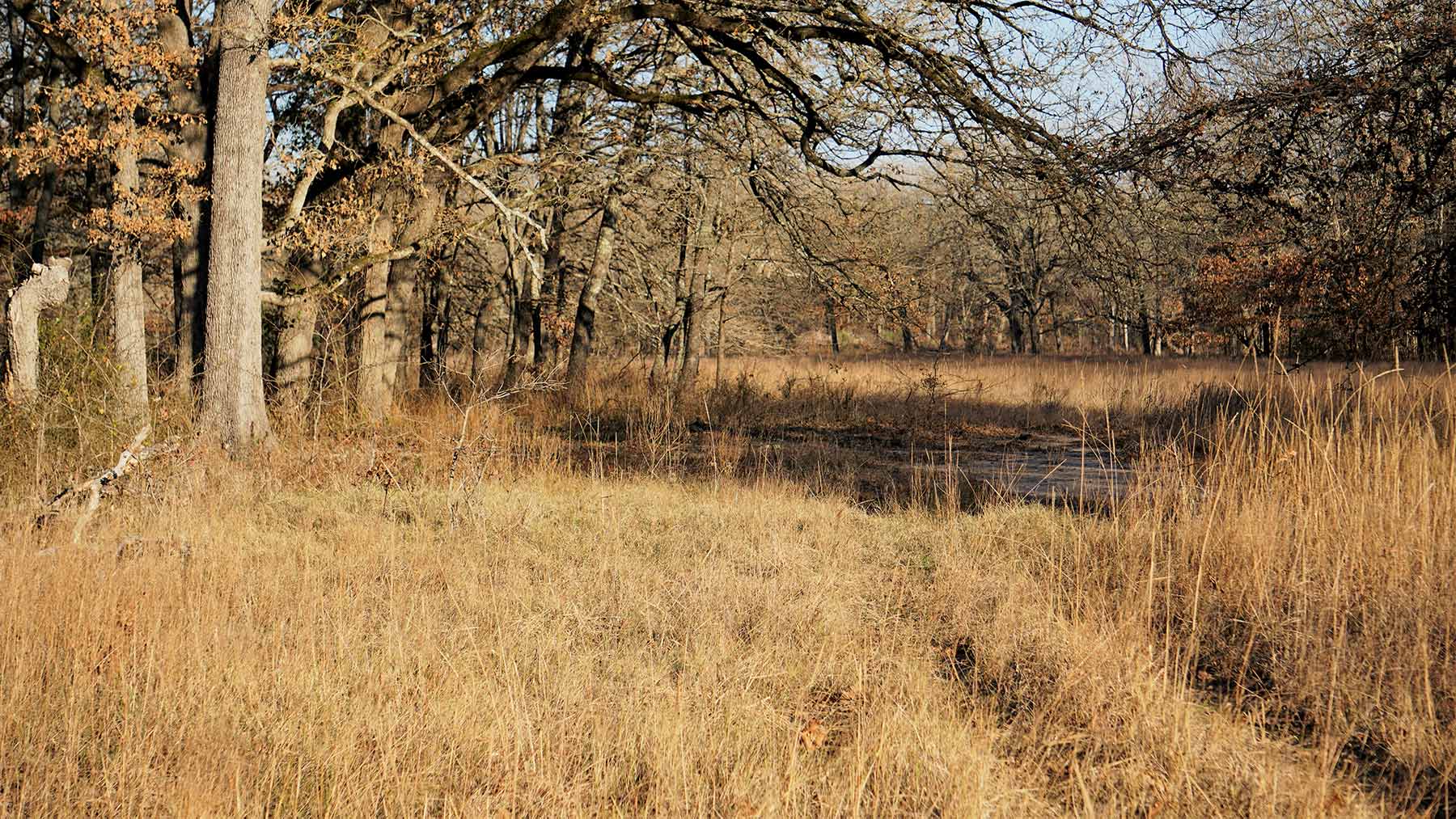 Serenity Valley Ranch property picture 49 of 84