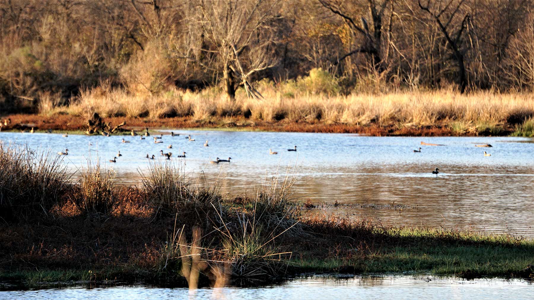 Serenity Valley Ranch property picture 61 of 84