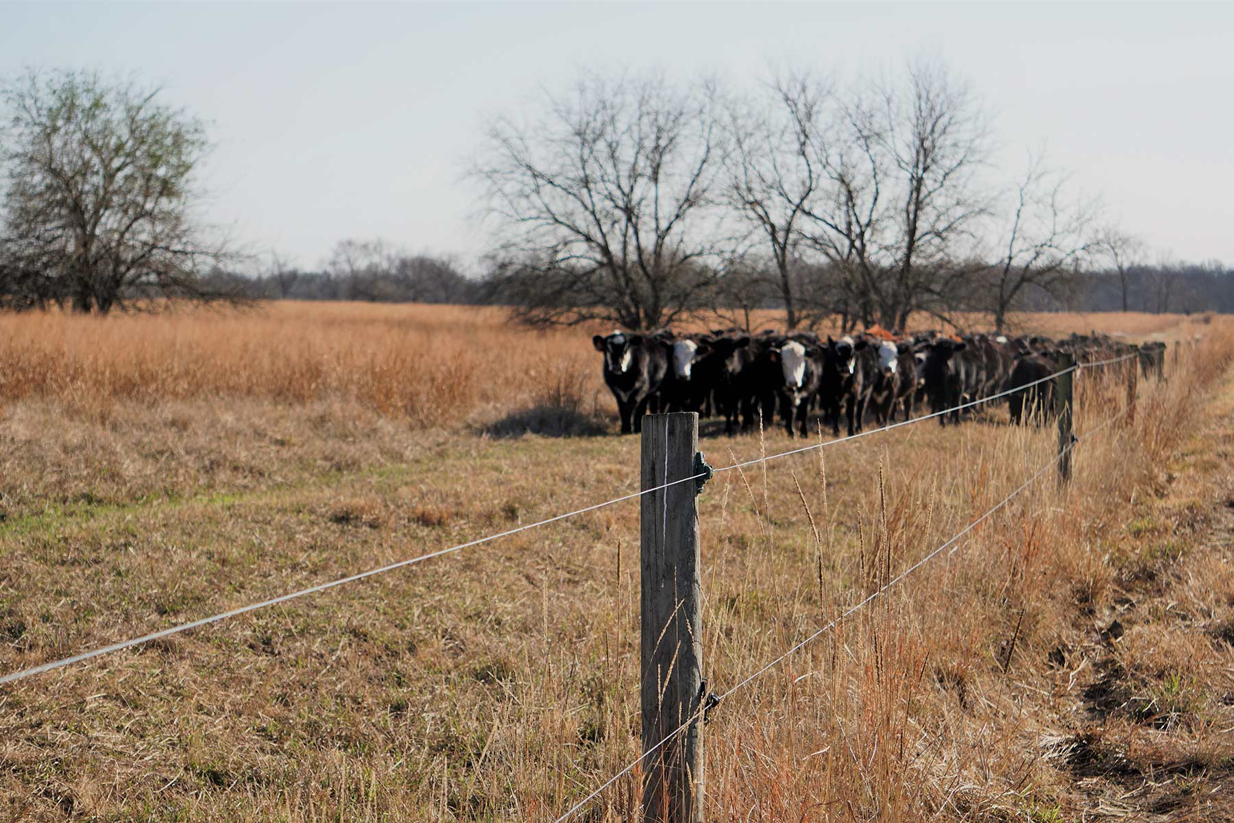 Serenity Valley Ranch property picture 25 of 84