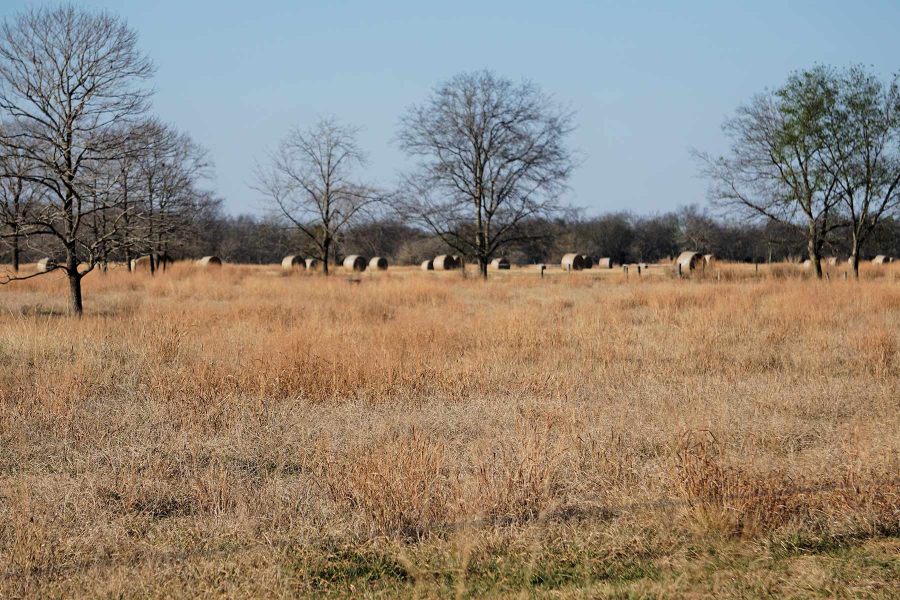 Serenity Valley Ranch property picture 24 of 84