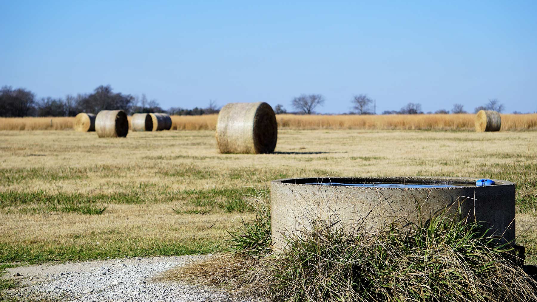 Serenity Valley Ranch property picture 30 of 84