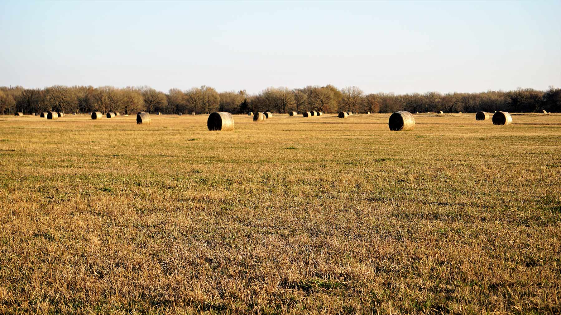 Serenity Valley Ranch property picture 58 of 84