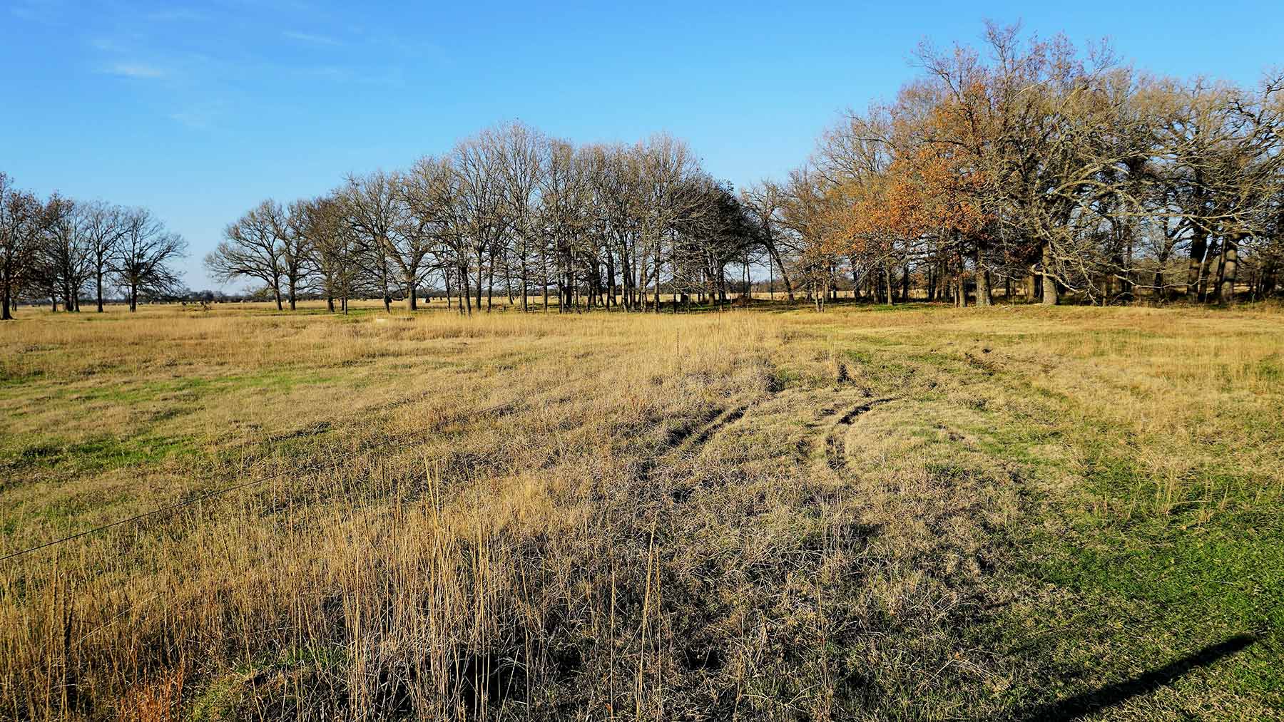 Serenity Valley Ranch property picture 46 of 84