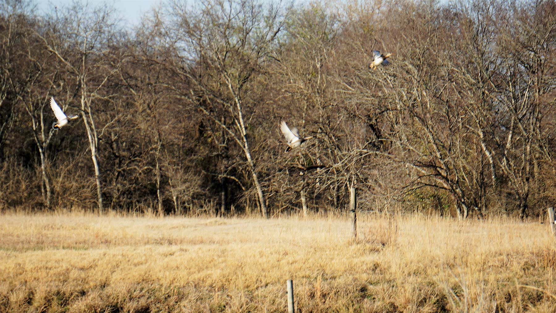 Serenity Valley Ranch property picture 36 of 84