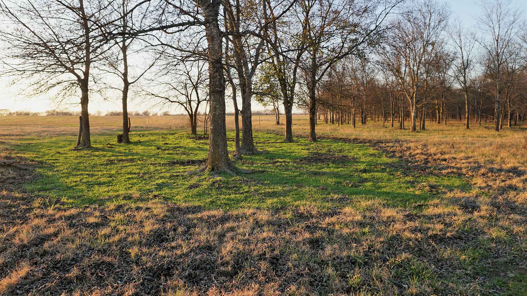 Serenity Valley Ranch property picture 69 of 84