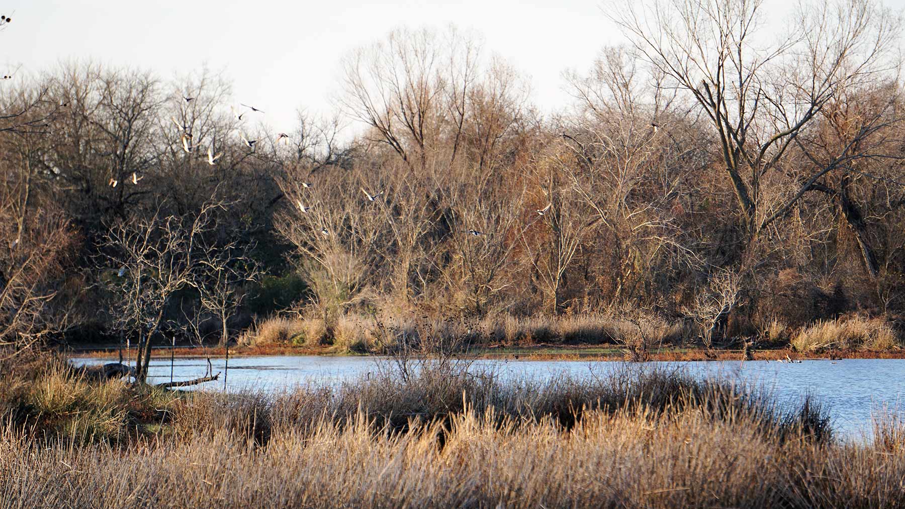 Serenity Valley Ranch property picture 64 of 84