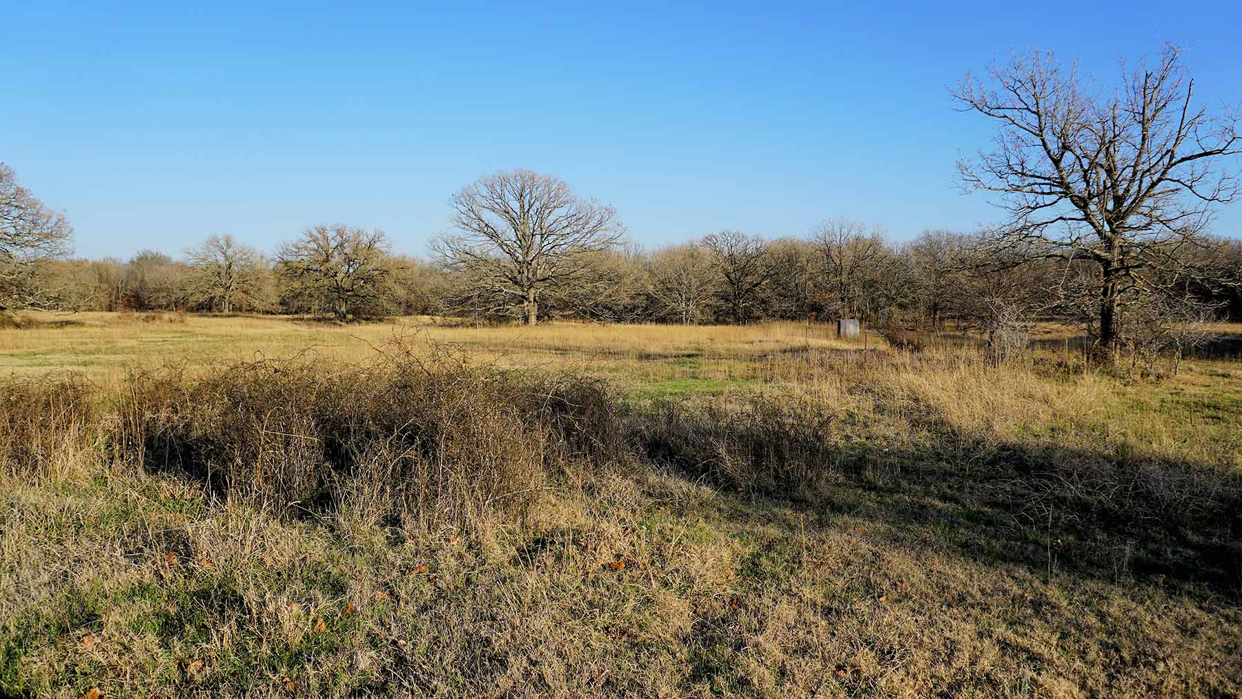 Serenity Valley Ranch property picture 44 of 84