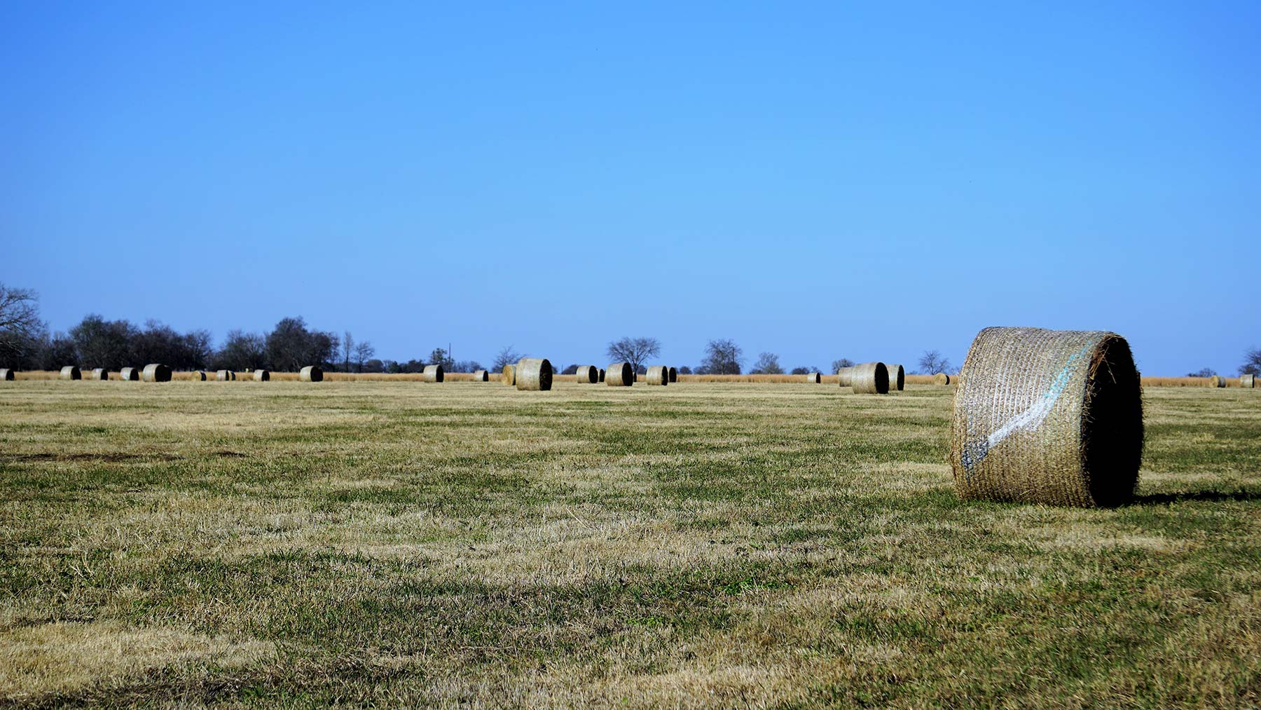 Serenity Valley Ranch property picture 26 of 84