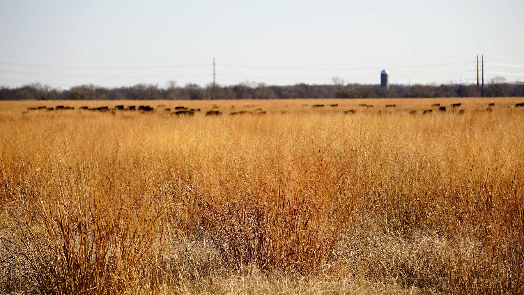 Serenity Valley Ranch property picture 31 of 84