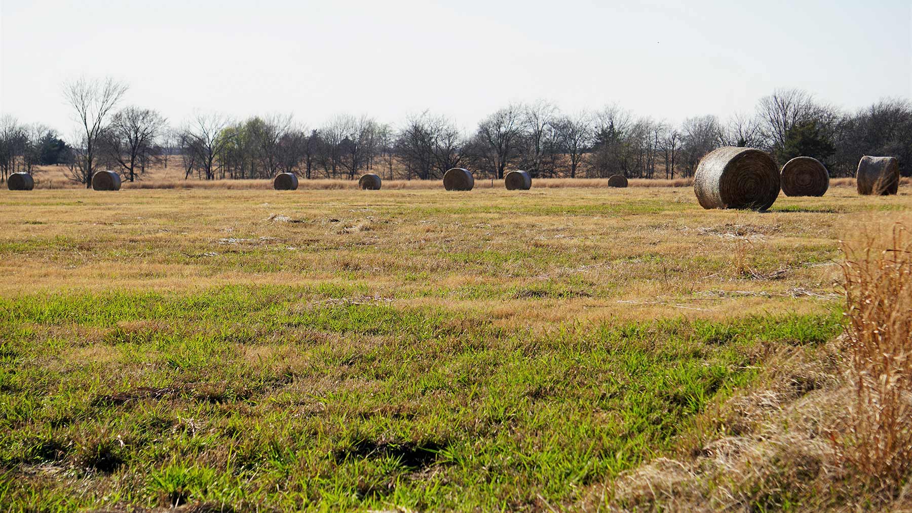 Serenity Valley Ranch property picture 27 of 84