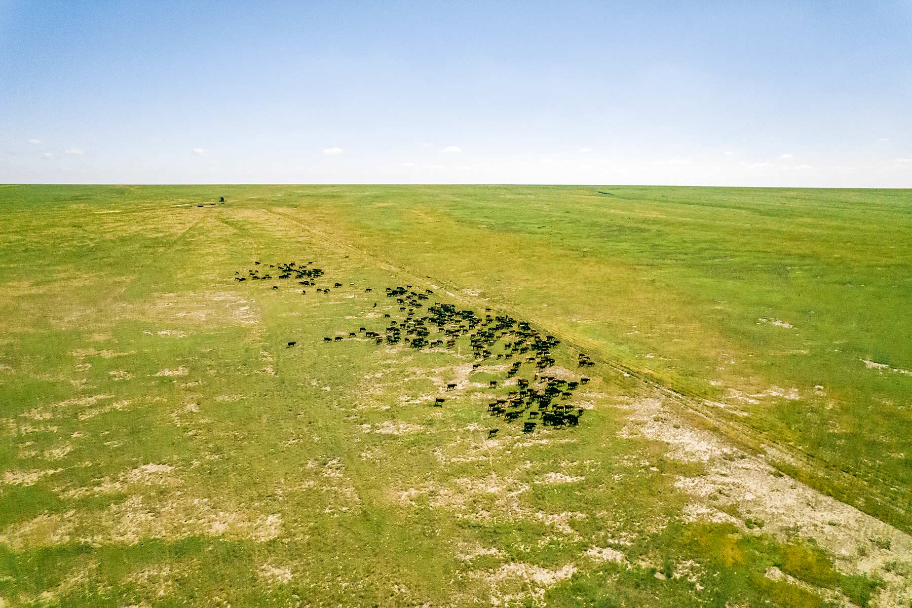 CC Karval Ranch property picture 21 of 49