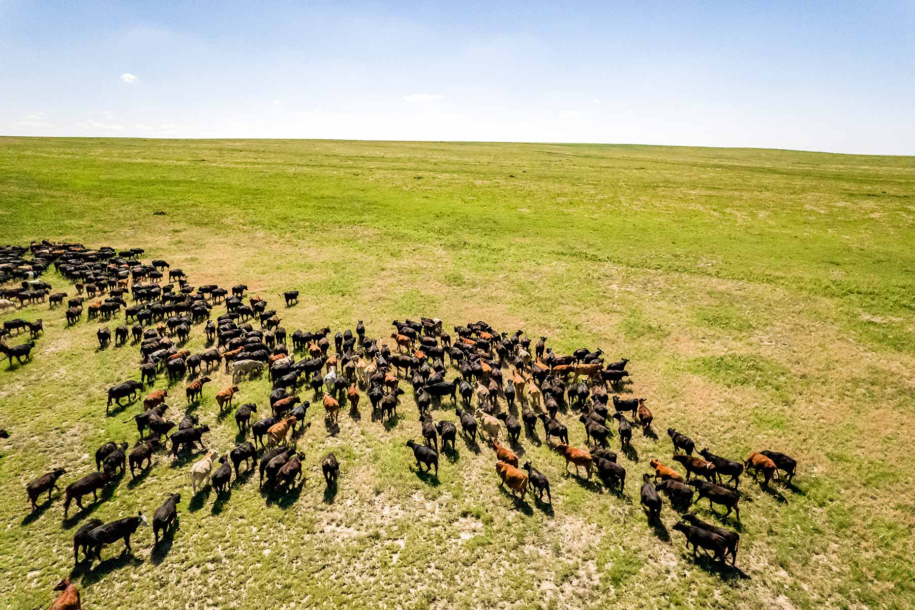 CC Karval Ranch property picture 19 of 49