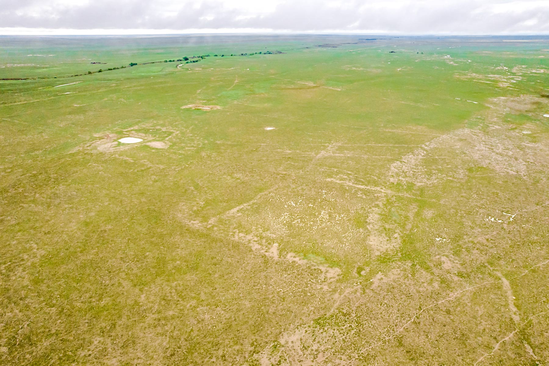 CC Karval Ranch Sold Colorado Hall and Hall