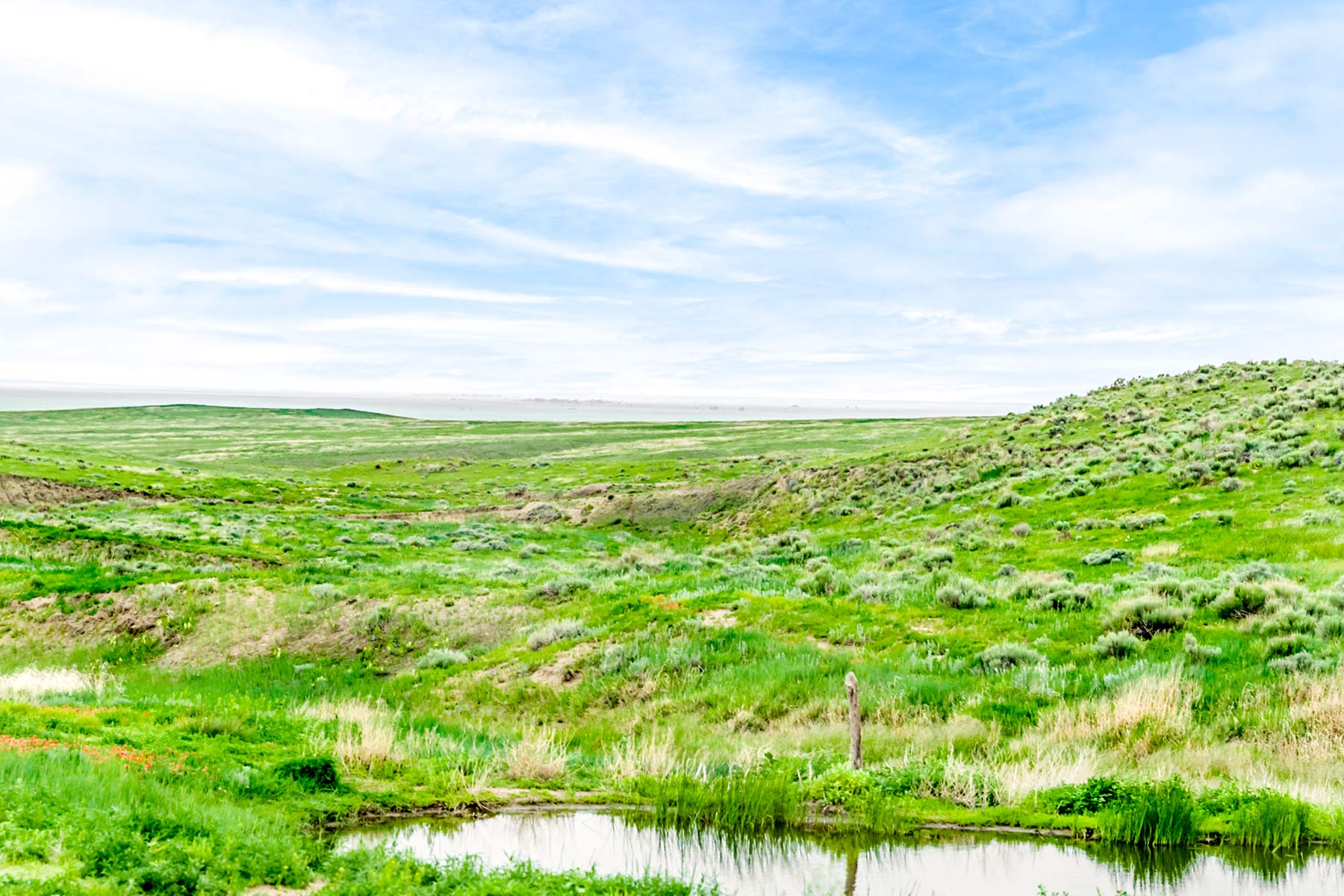 CC Karval Ranch Sold Colorado Hall and Hall