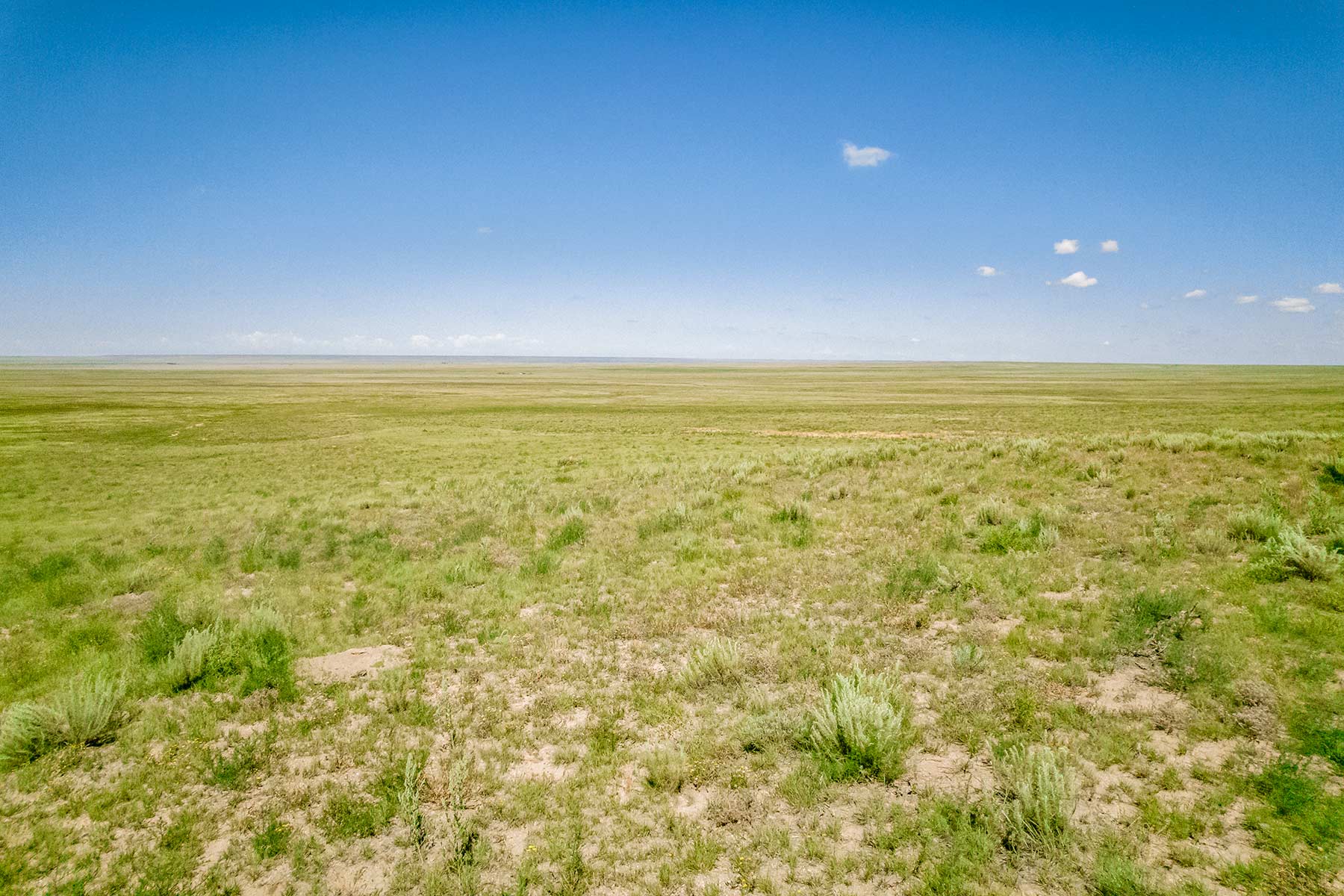 CC Karval Ranch property picture 23 of 49