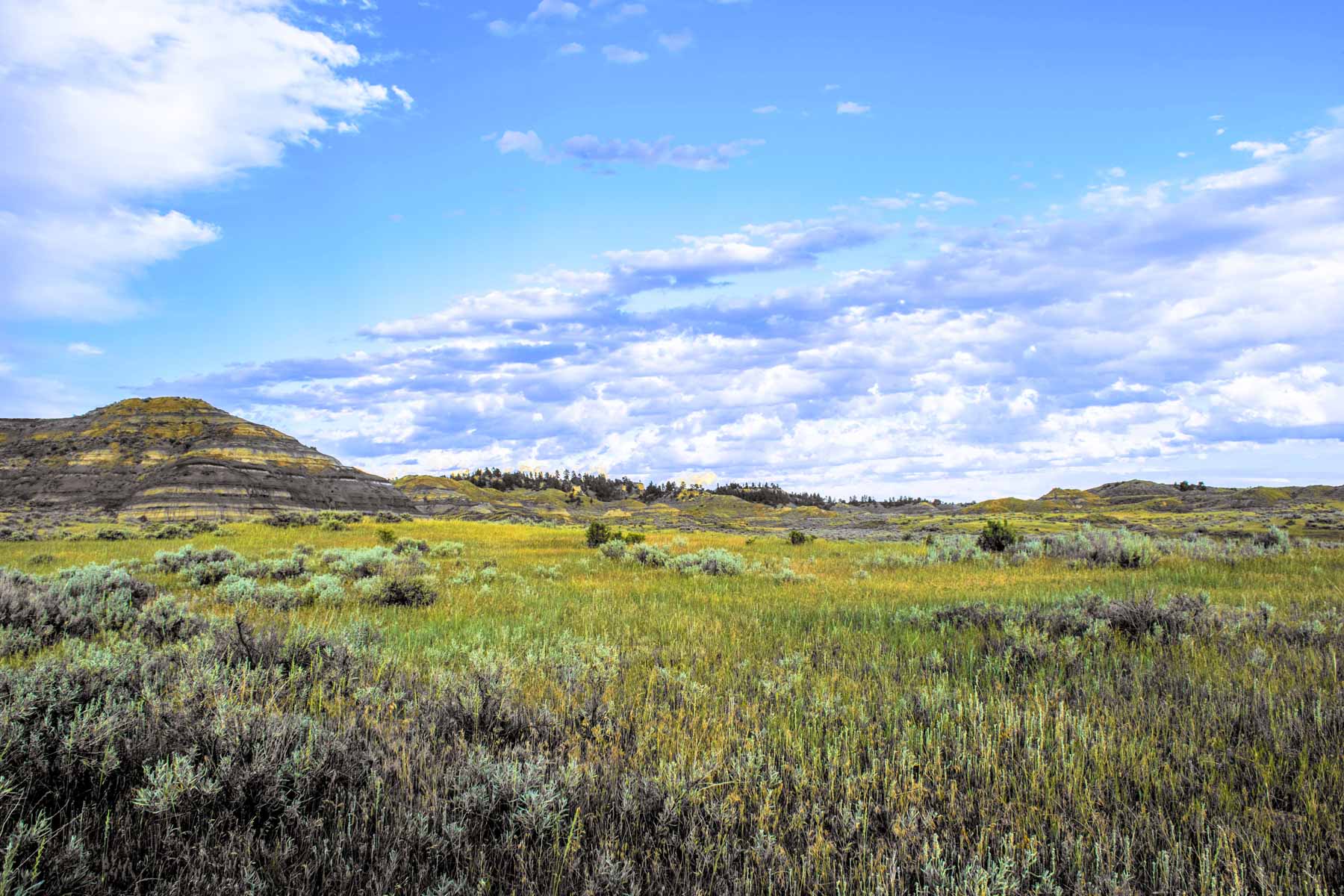 Eagle Creek Ranch property picture 28 of 46