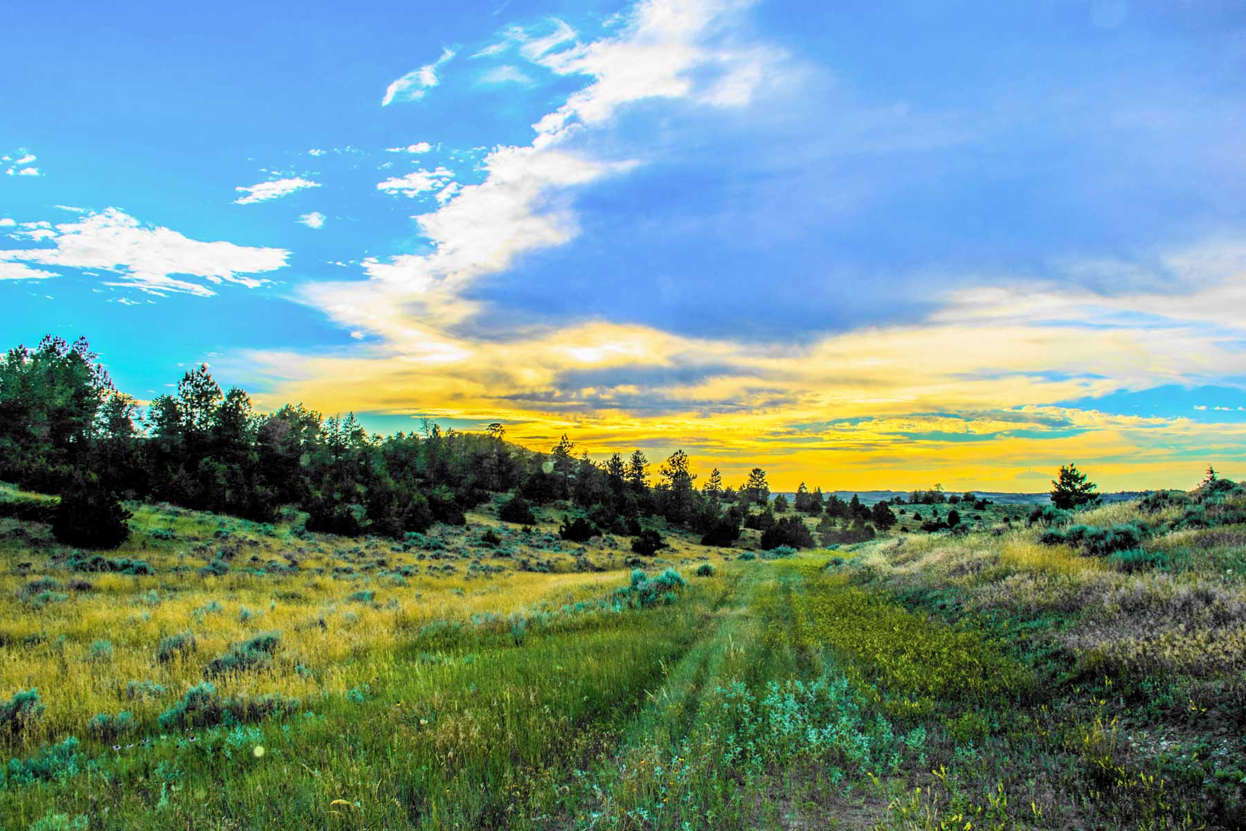 Eagle Creek Ranch property picture 44 of 46