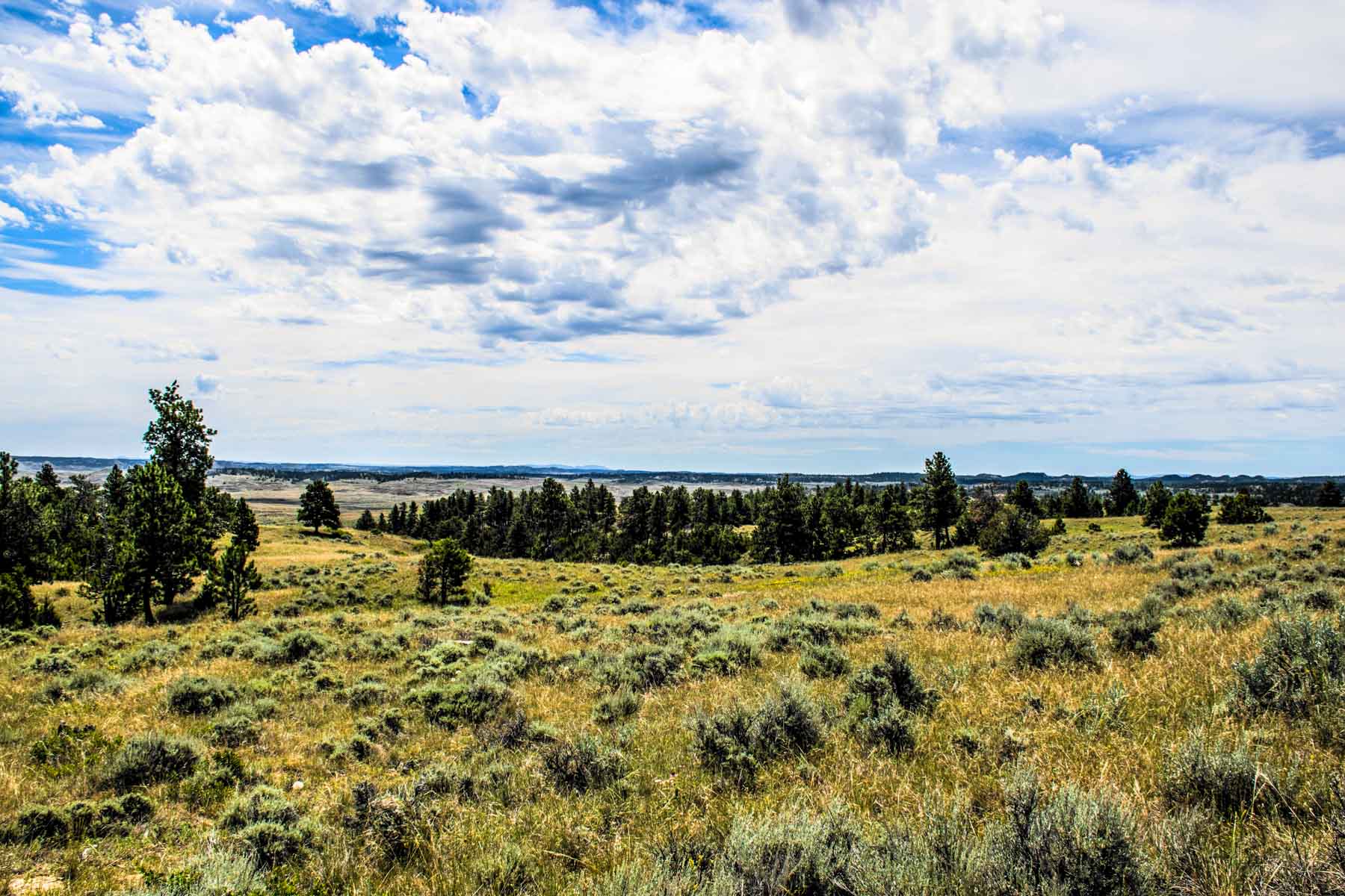 Eagle Creek Ranch property picture 12 of 46