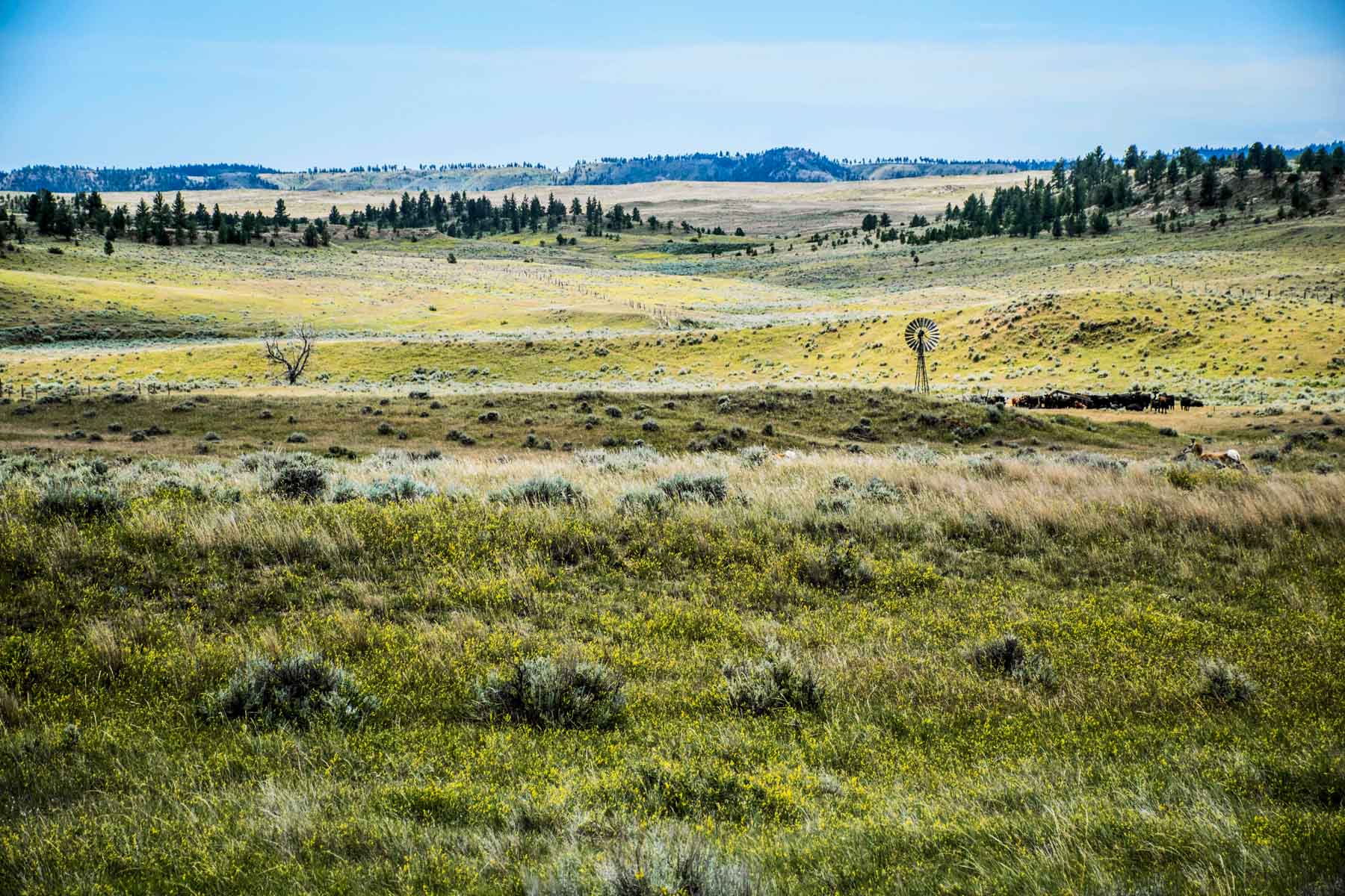 Eagle Creek Ranch property picture 34 of 46