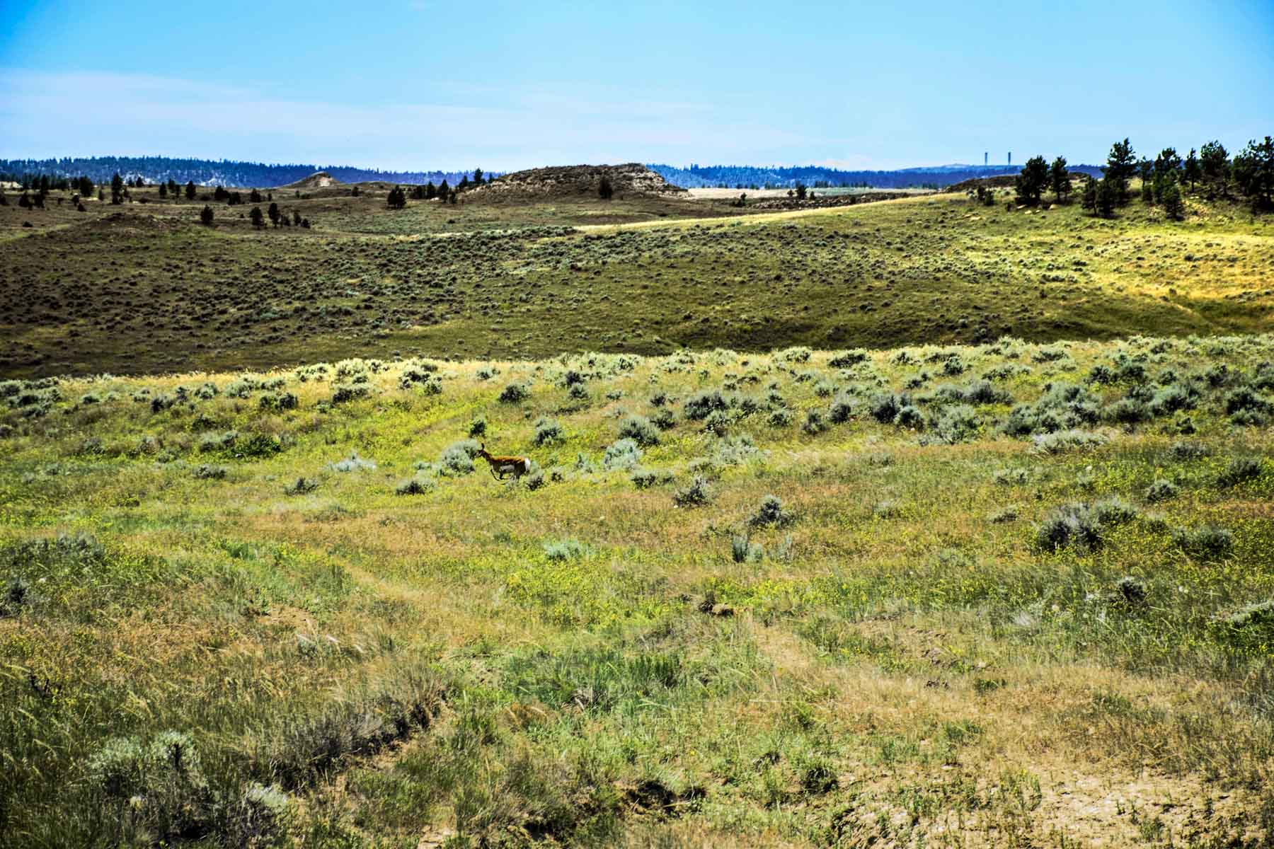 Eagle Creek Ranch property picture 21 of 46