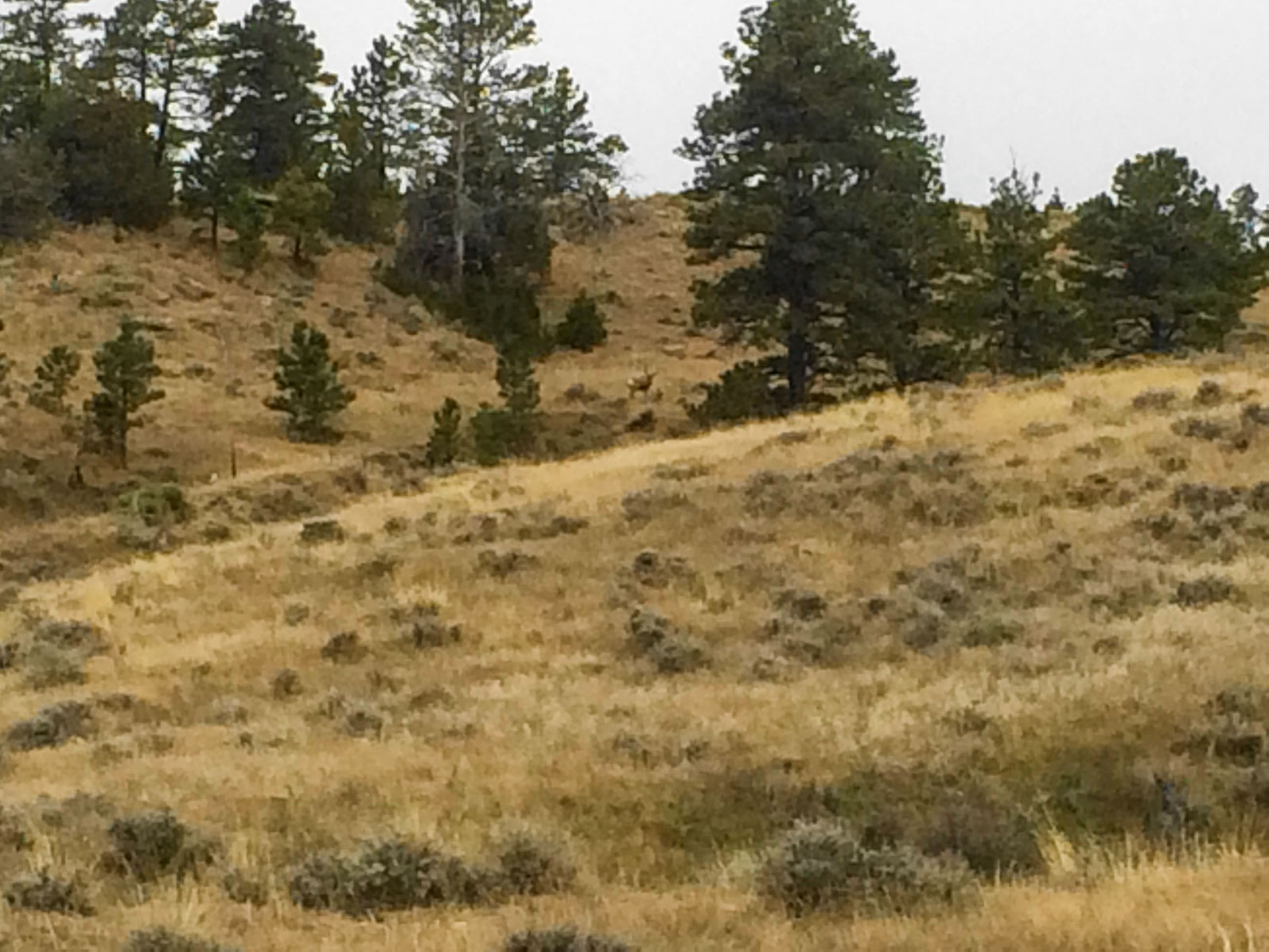 Eagle Creek Ranch property picture 26 of 46