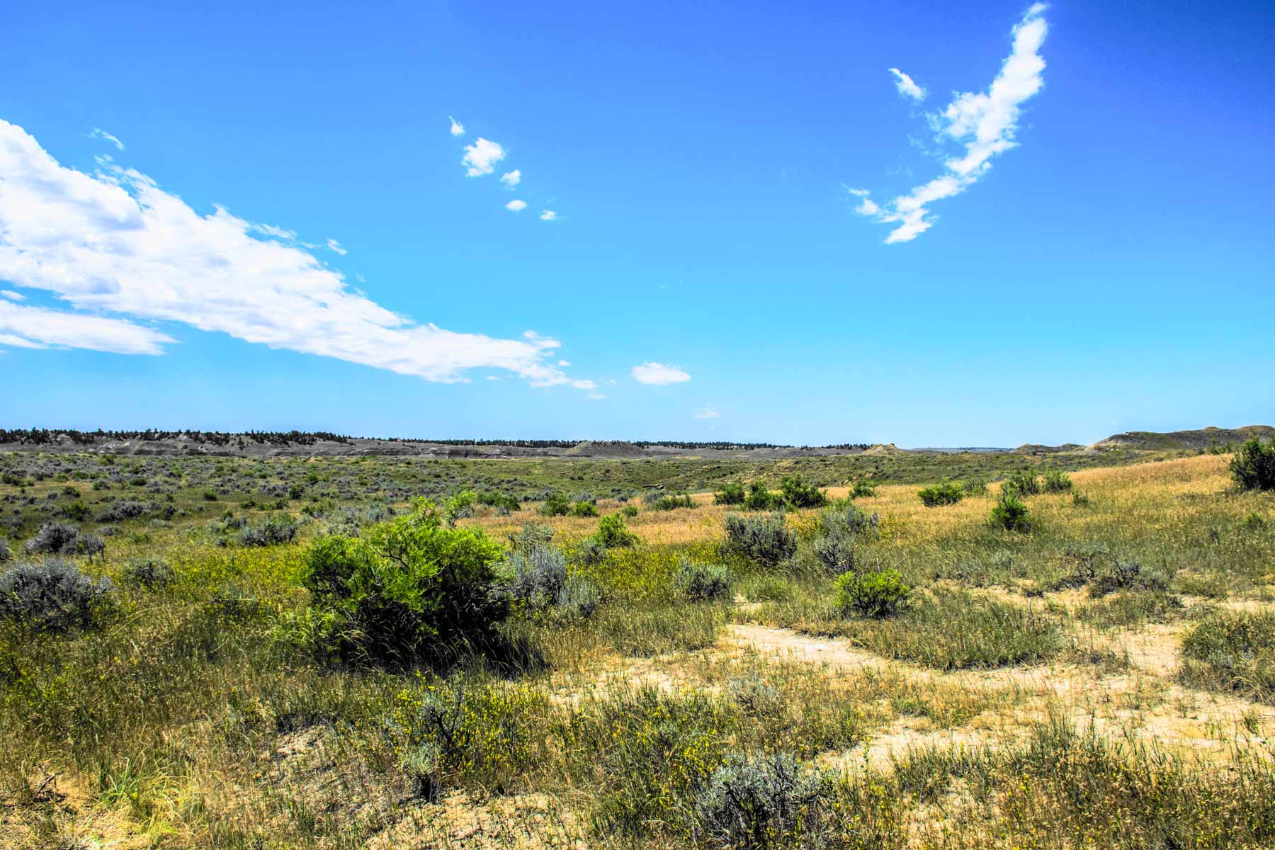 Eagle Creek Ranch property picture 30 of 46