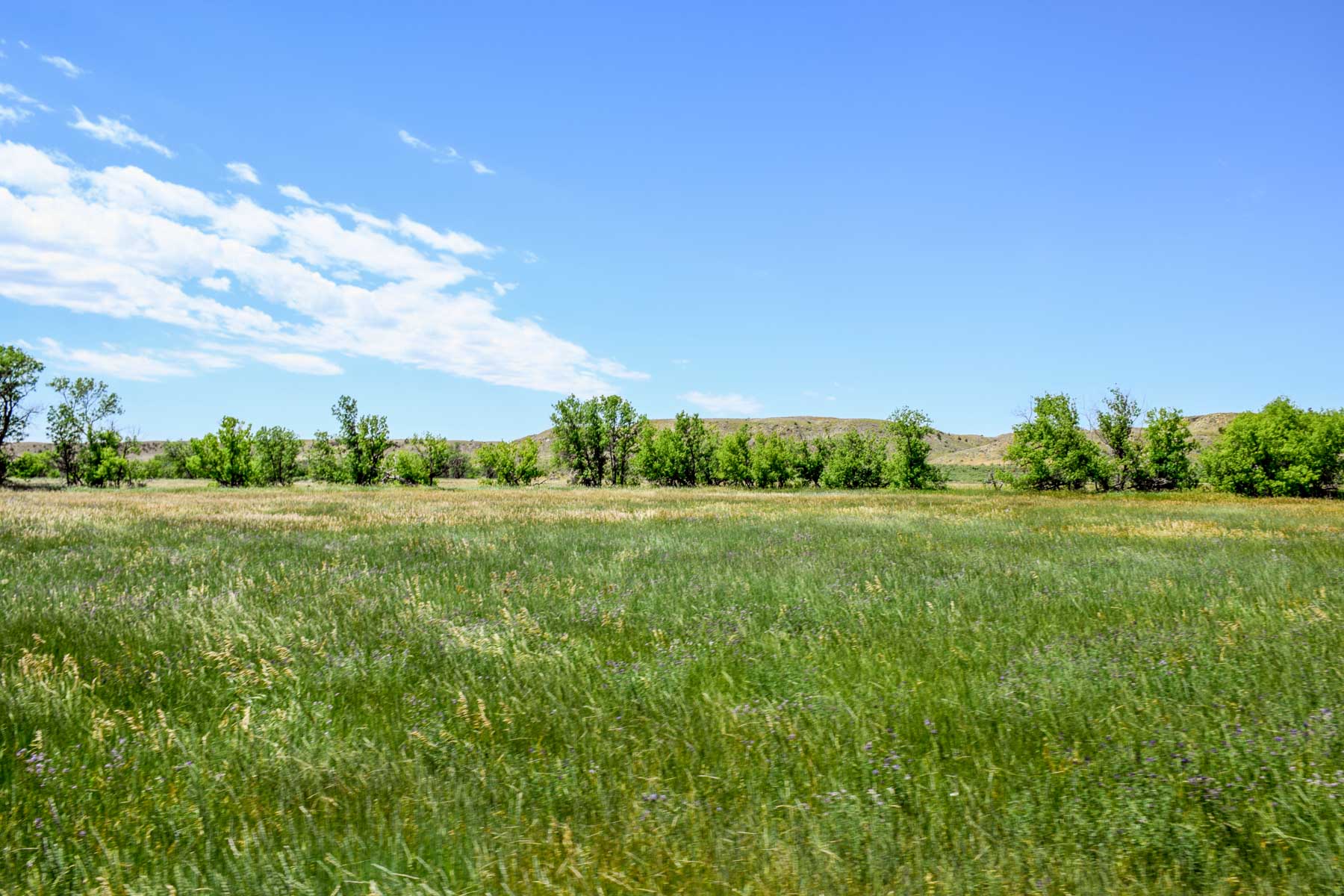 Eagle Creek Ranch property picture 5 of 46