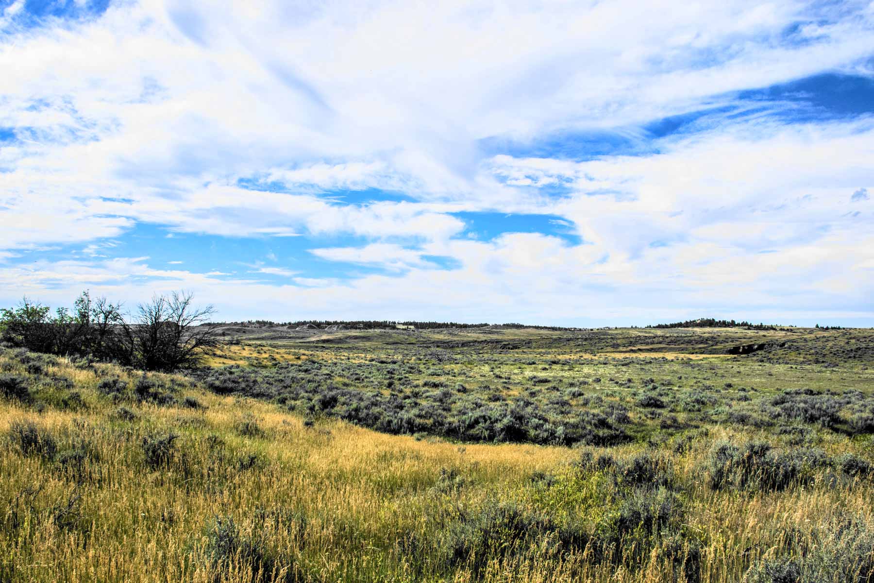 Eagle Creek Ranch property picture 40 of 46