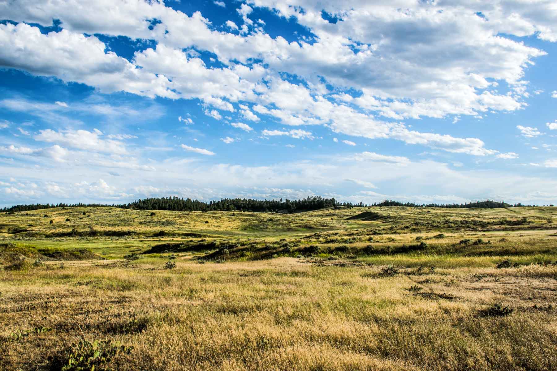 Eagle Creek Ranch property picture 18 of 46