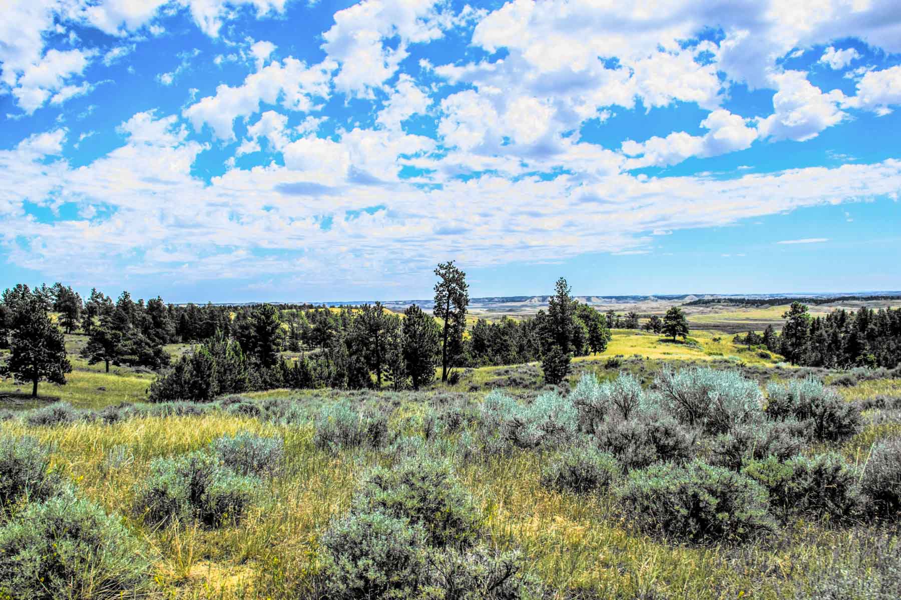 Eagle Creek Ranch property picture 7 of 46