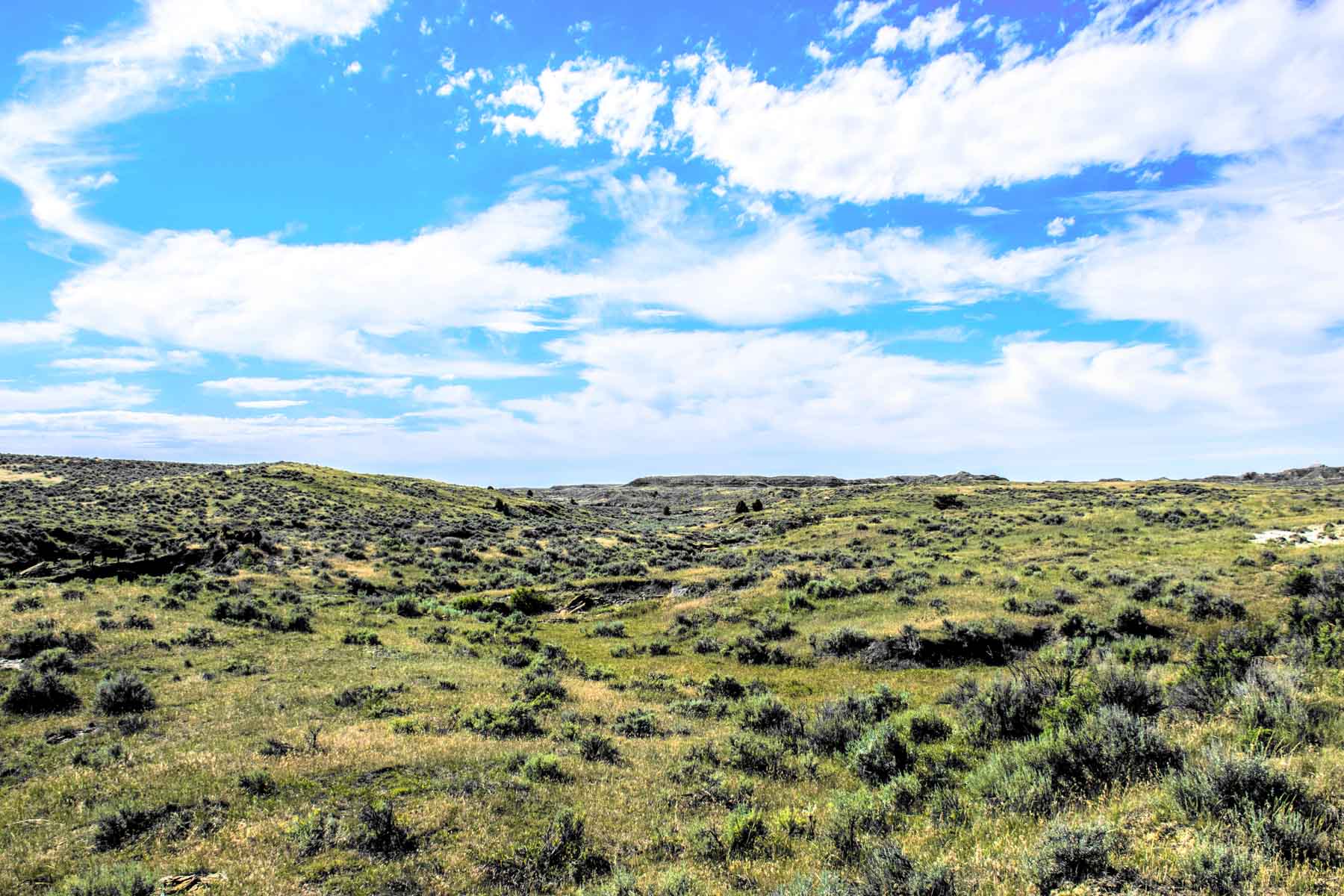 Eagle Creek Ranch property picture 3 of 46