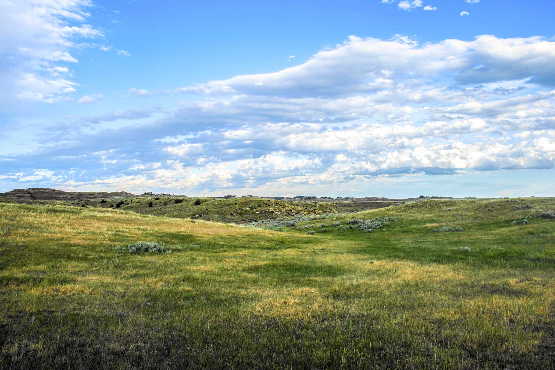 Eagle Creek Ranch property picture 29 of 46