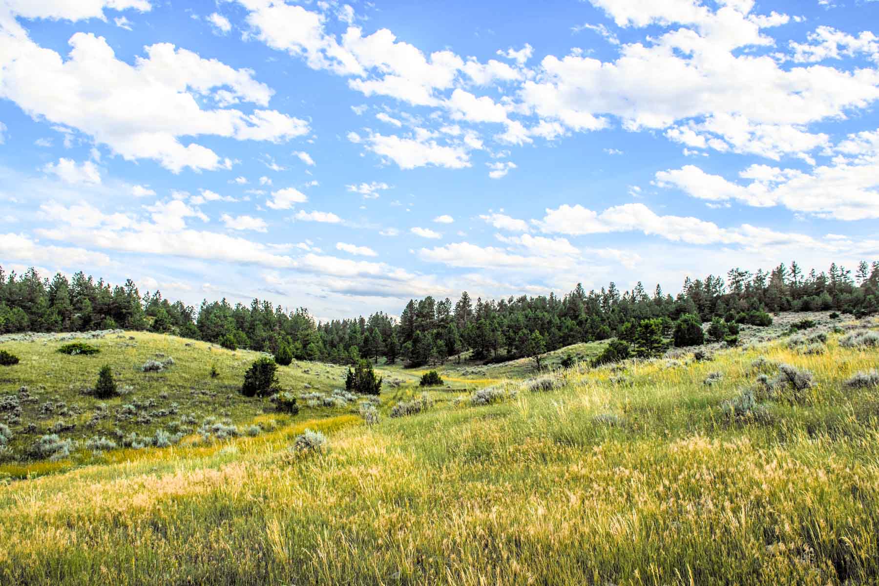 Eagle Creek Ranch property picture 22 of 46