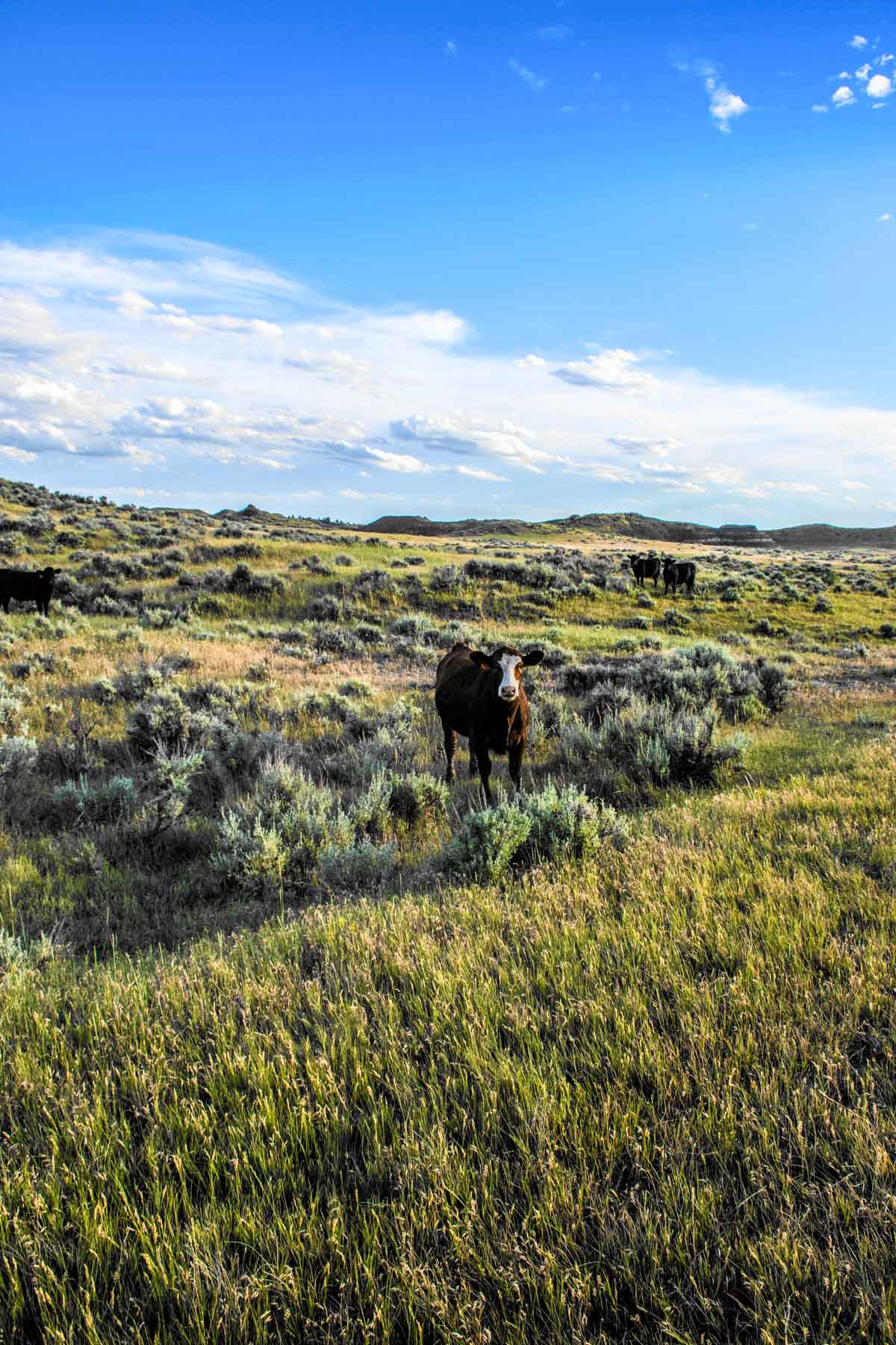 Eagle Creek Ranch property picture 25 of 46