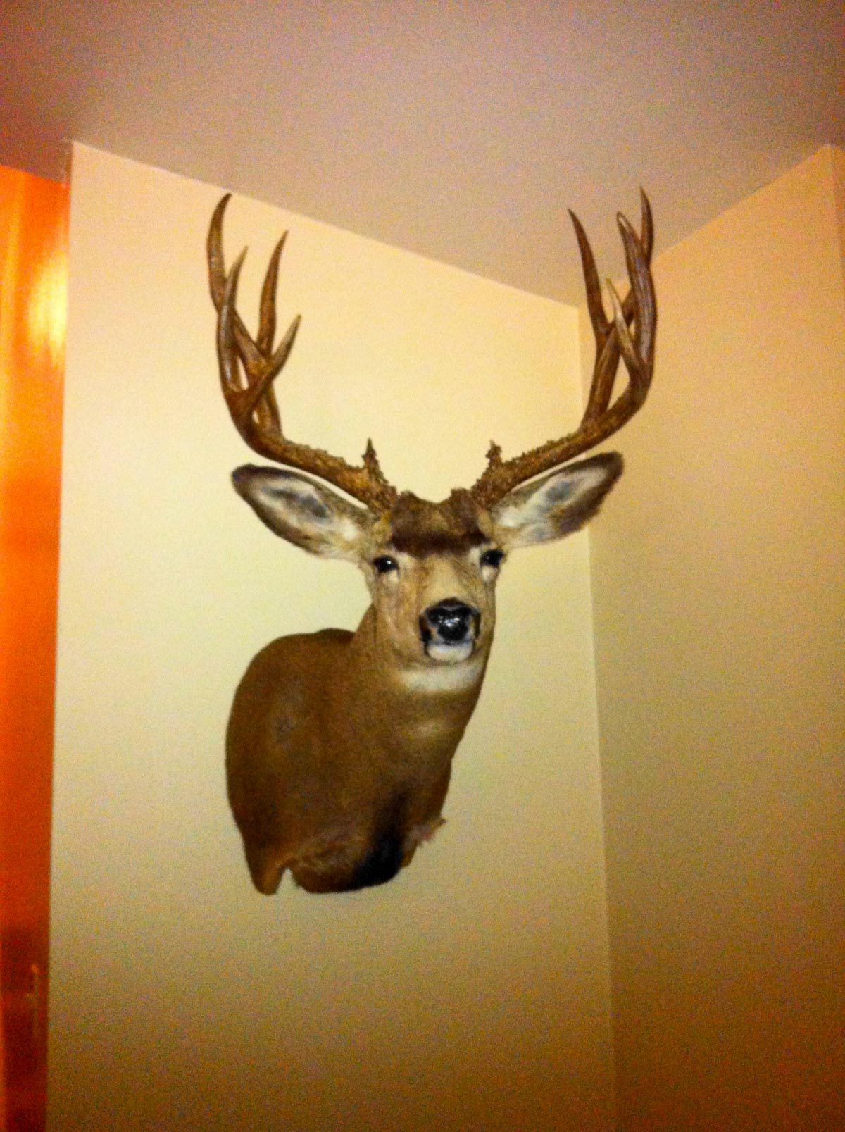 Eagle Creek Ranch property picture 27 of 46