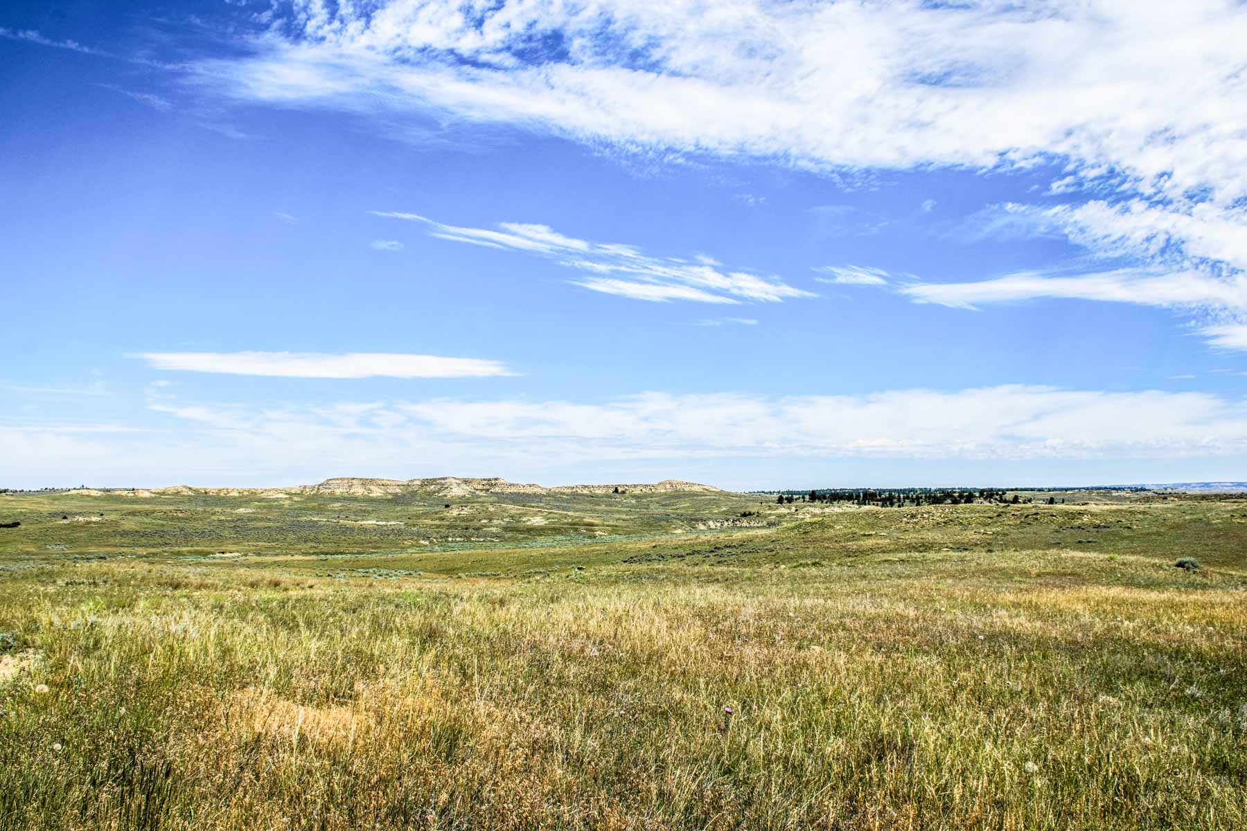 Eagle Creek Ranch property picture 13 of 46