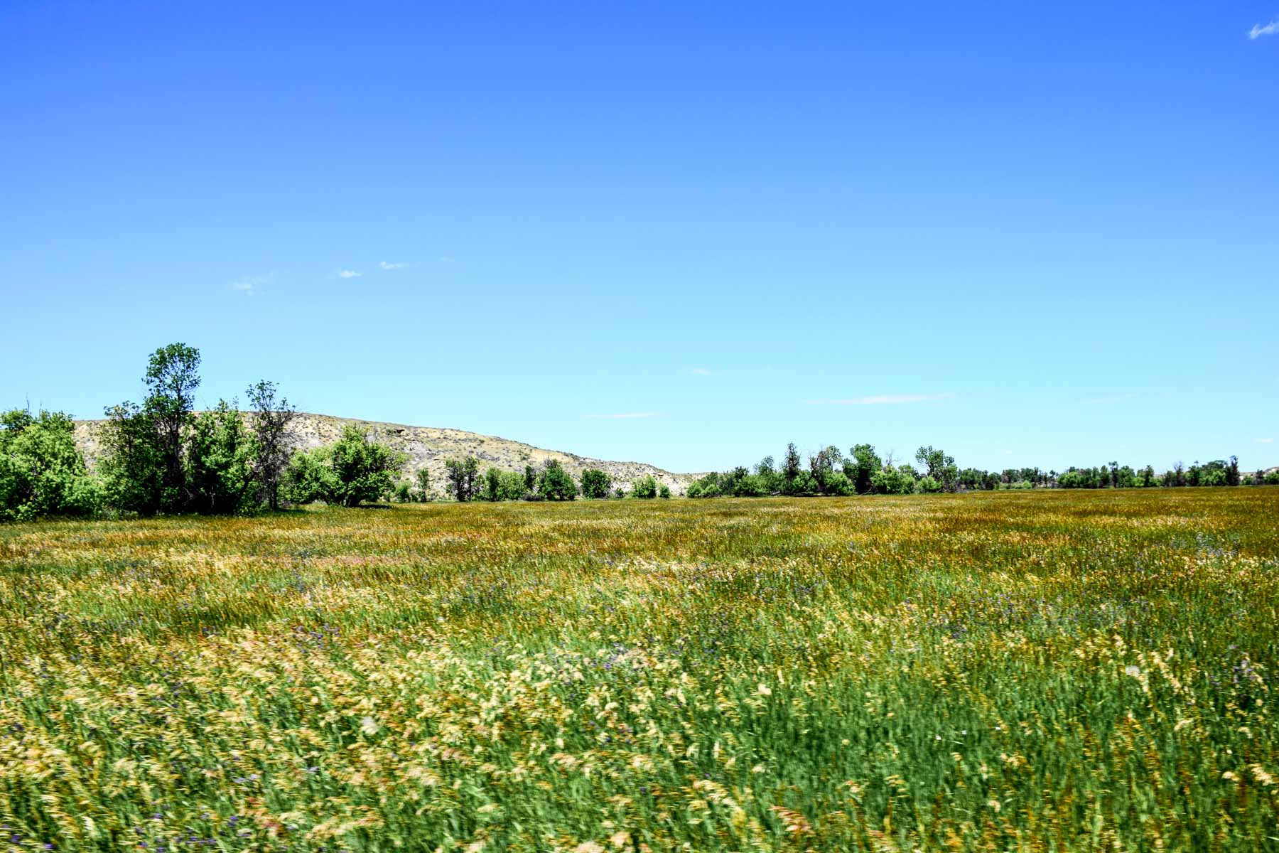 Eagle Creek Ranch property picture 4 of 46