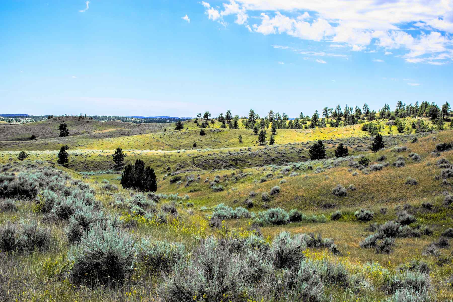 Eagle Creek Ranch property picture 31 of 46