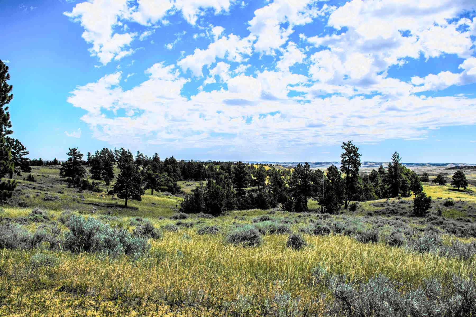 Eagle Creek Ranch property picture 32 of 46