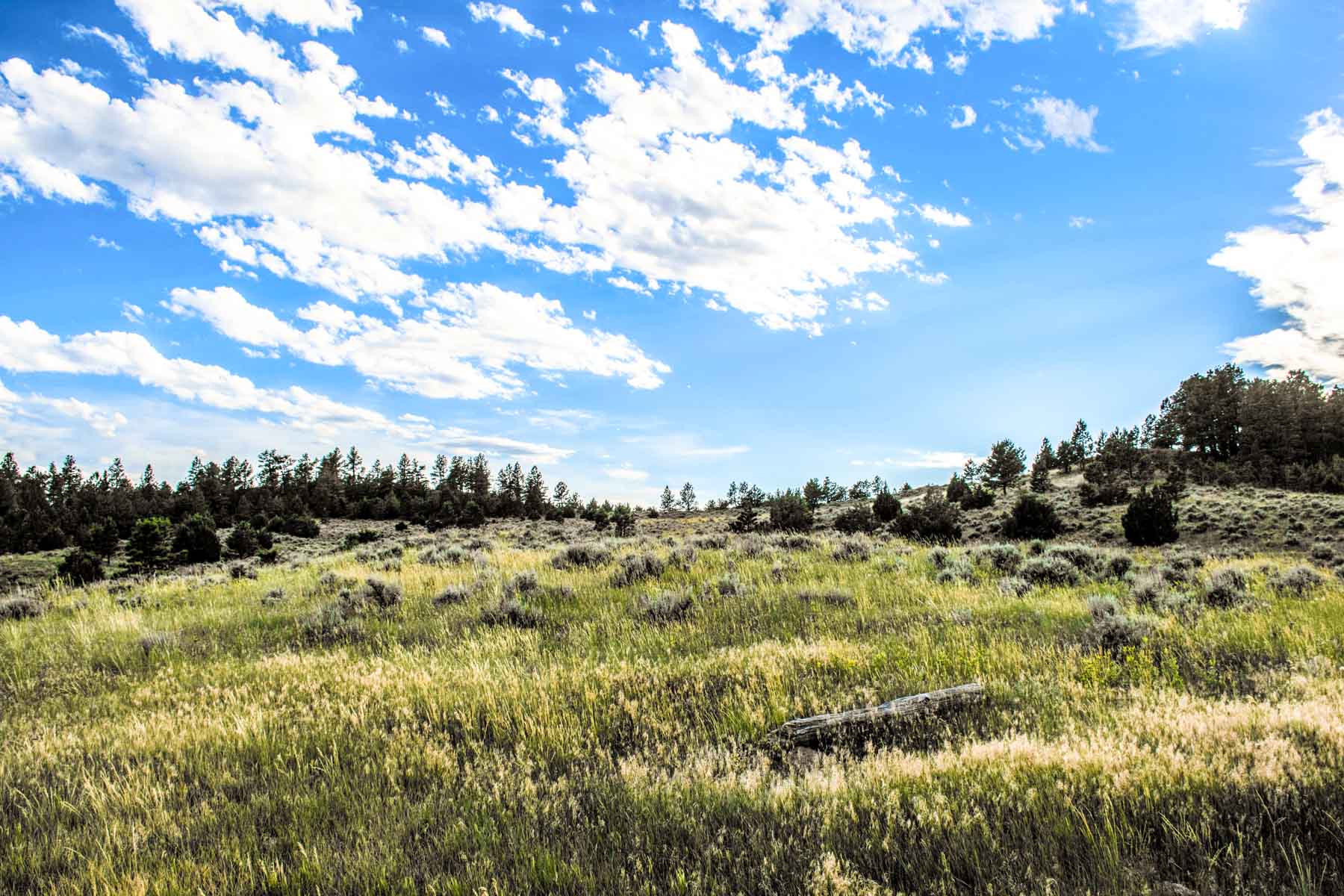 Eagle Creek Ranch property picture 19 of 46