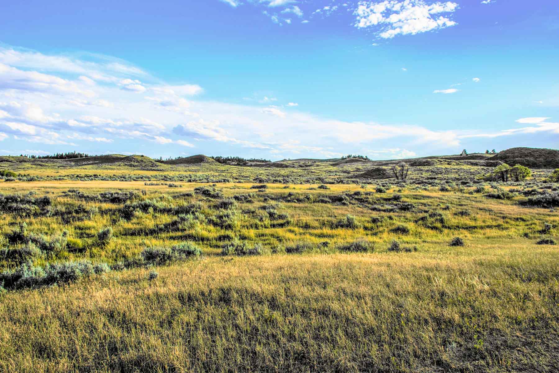 Eagle Creek Ranch property picture 24 of 46