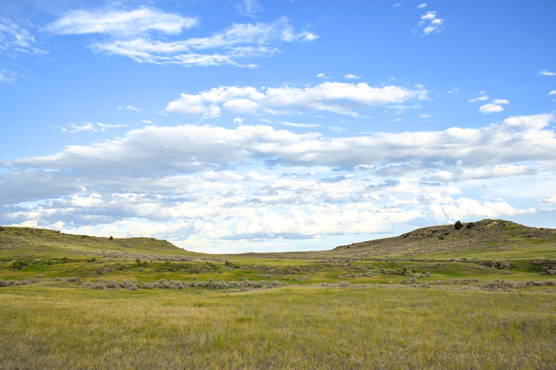 Eagle Creek Ranch property picture 38 of 46