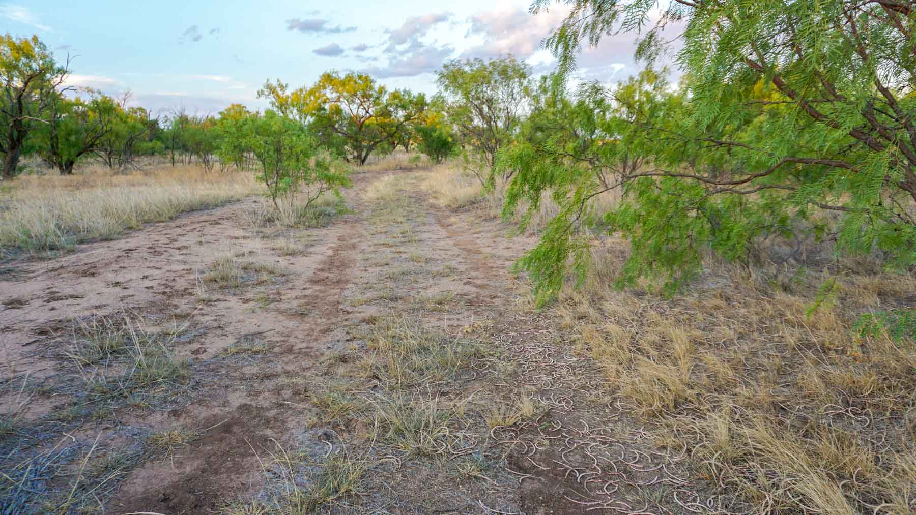 Claterbaugh Farm property picture 36 of 50