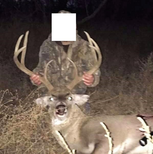 Claterbaugh Farm property picture 3 of 50