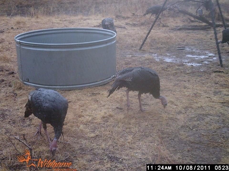 Claterbaugh Farm property picture 4 of 50